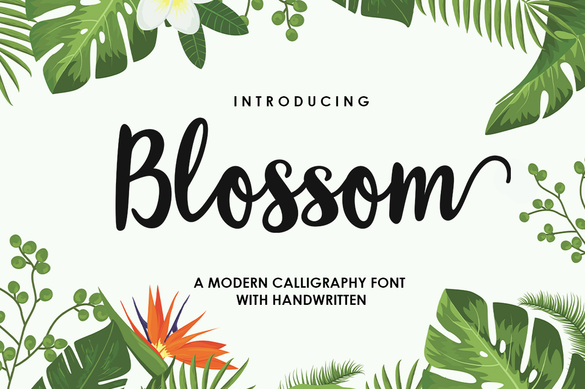 Blossom Script Font: A Modern Touch for Timeless Design